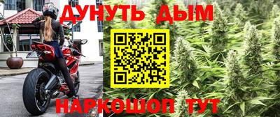 соль ск Дубна