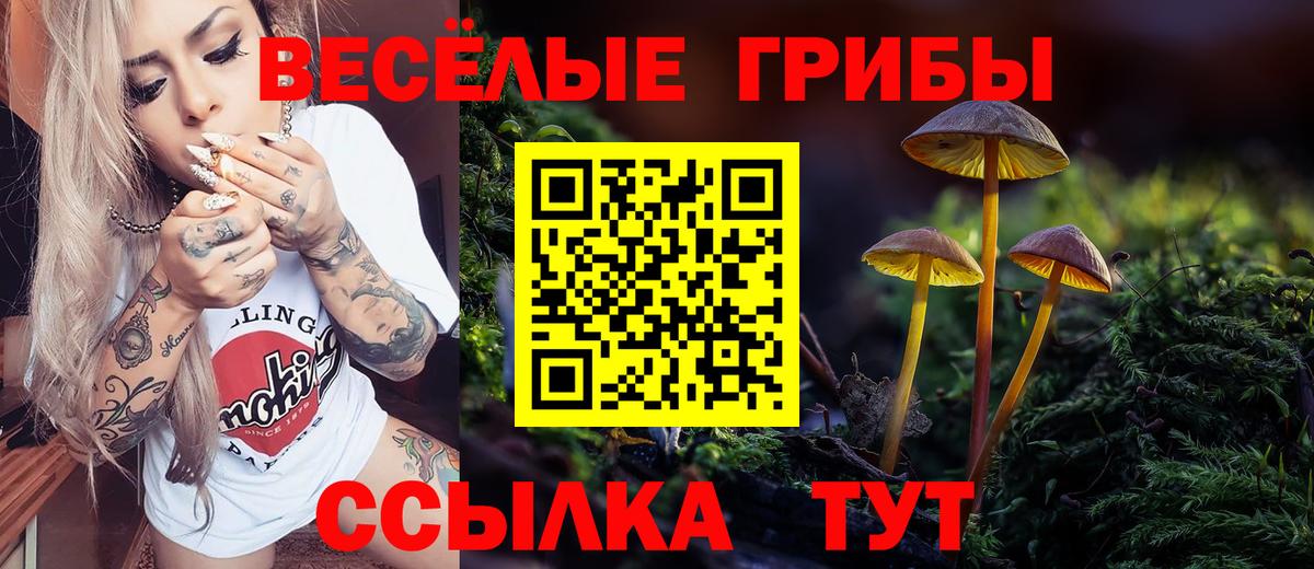 Галлюциногенные грибы мицелий Михайловск