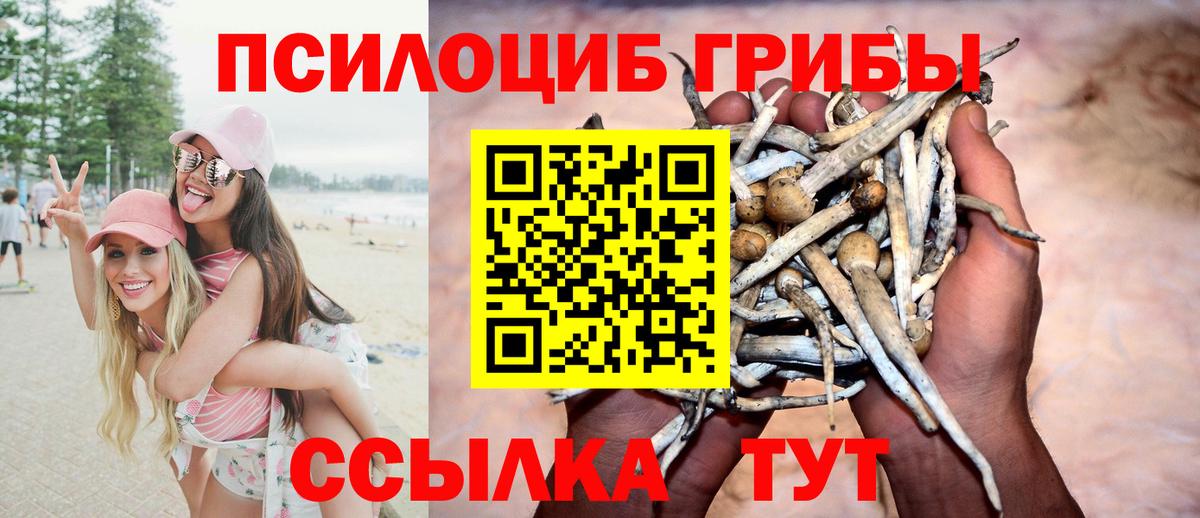 Михайловск  Псилоцибиновые грибы MAGIC MUSHROOMS  Вход с VPN 